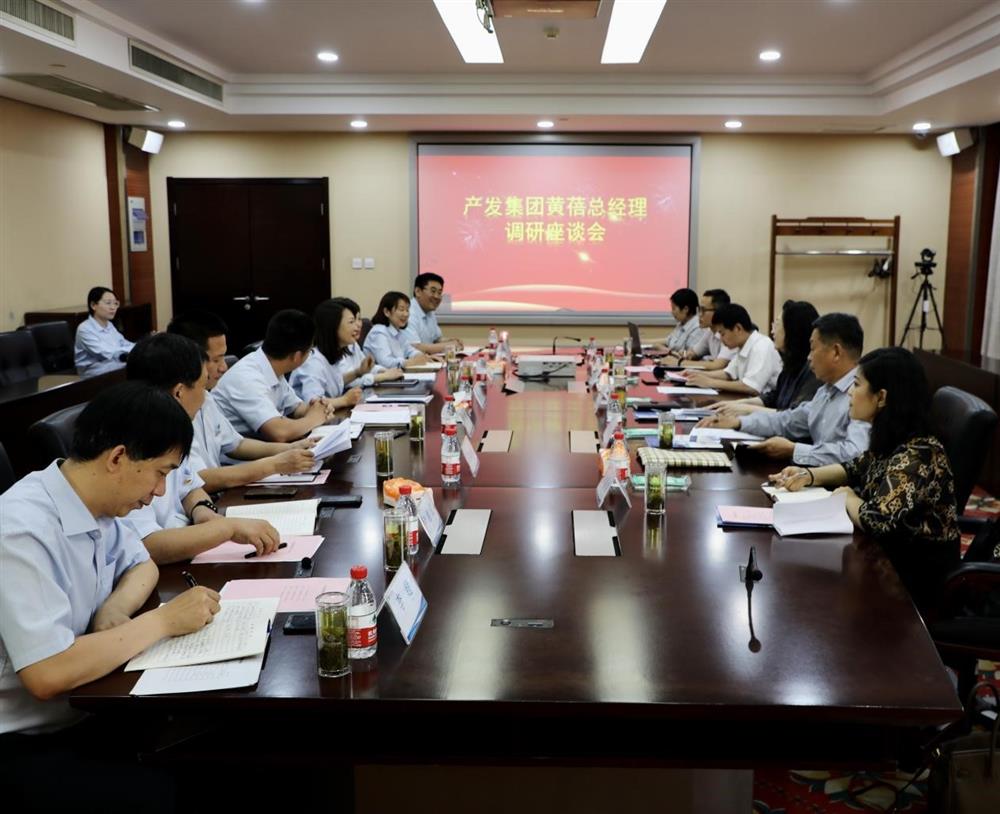集團(tuán)黨委副書記、總經(jīng)理黃蓓帶隊(duì)調(diào)研濟(jì)南市工程咨詢?cè)? class=