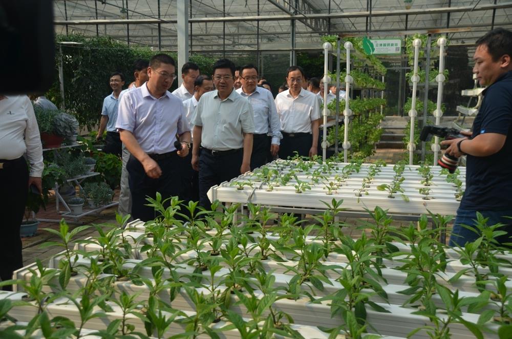 科技助農(nóng)，播撒光的種子  精準(zhǔn)扶貧，助力鄉(xiāng)村振興